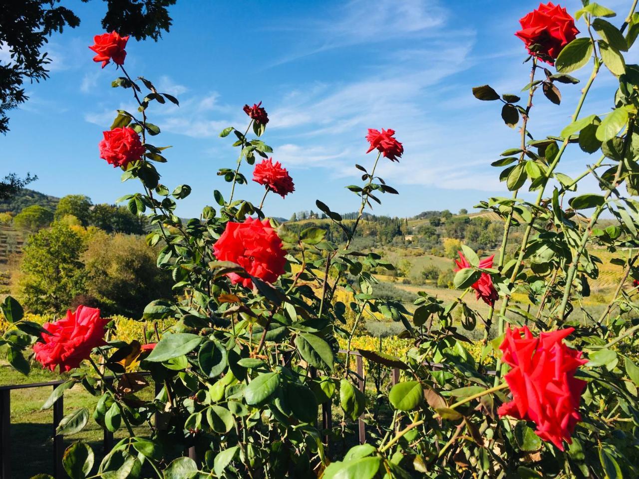 Podere Bellavista Сан-Джиминьяно Экстерьер фото
