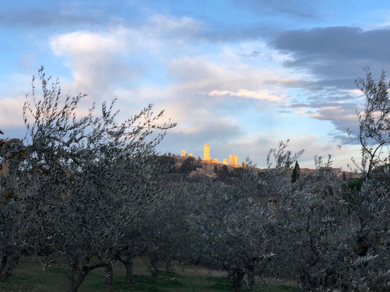 Podere Bellavista Сан-Джиминьяно Экстерьер фото